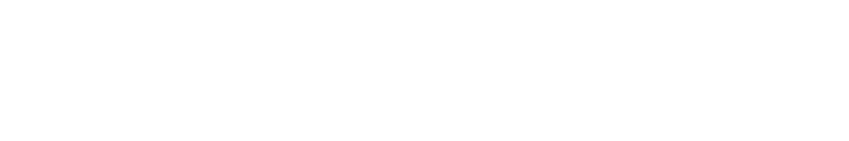 LEAD FORENSICS. logo