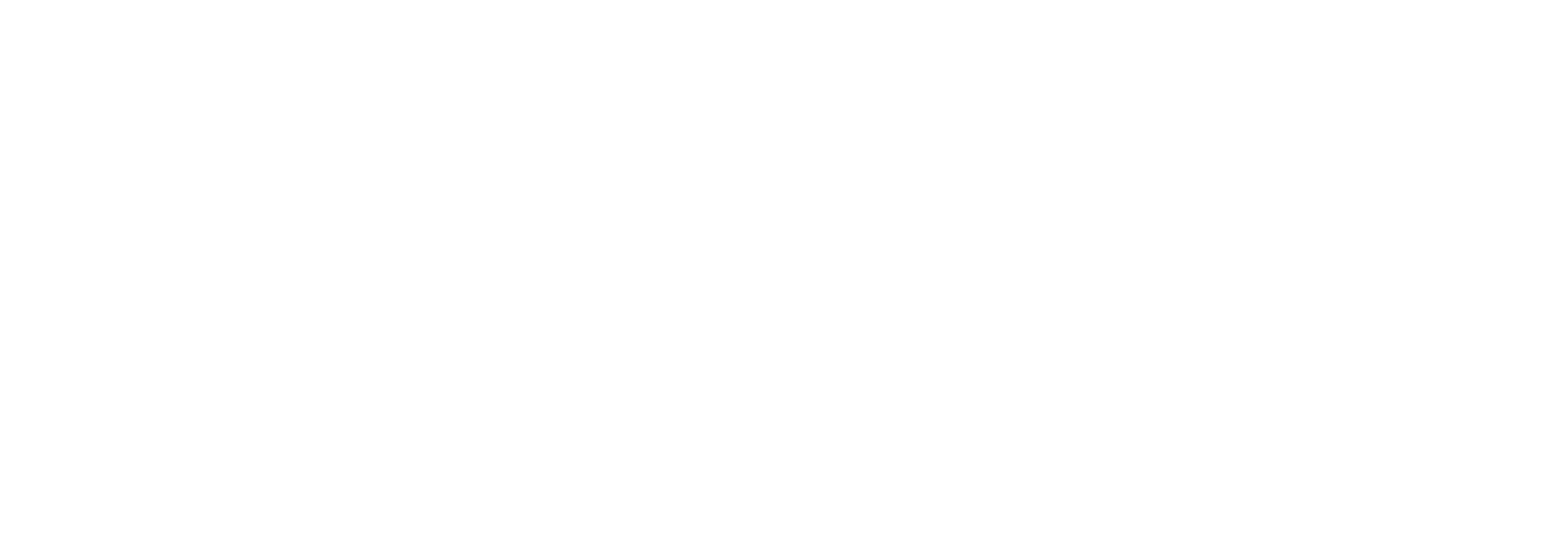 2MV LOGISTICS. logo