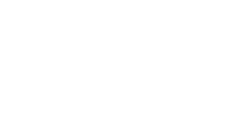 CHARLES TAYLOR. logo