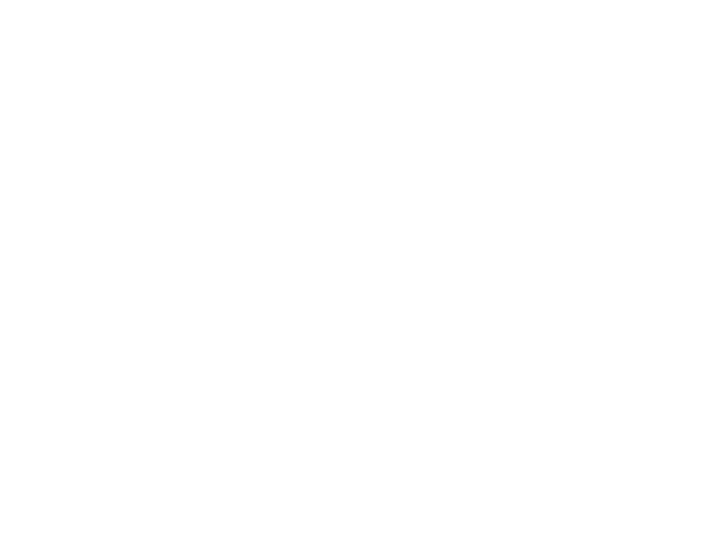 STR GROUP. logo