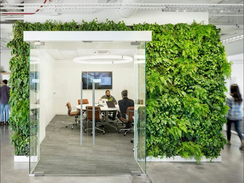 Biophilia Plants In The Office