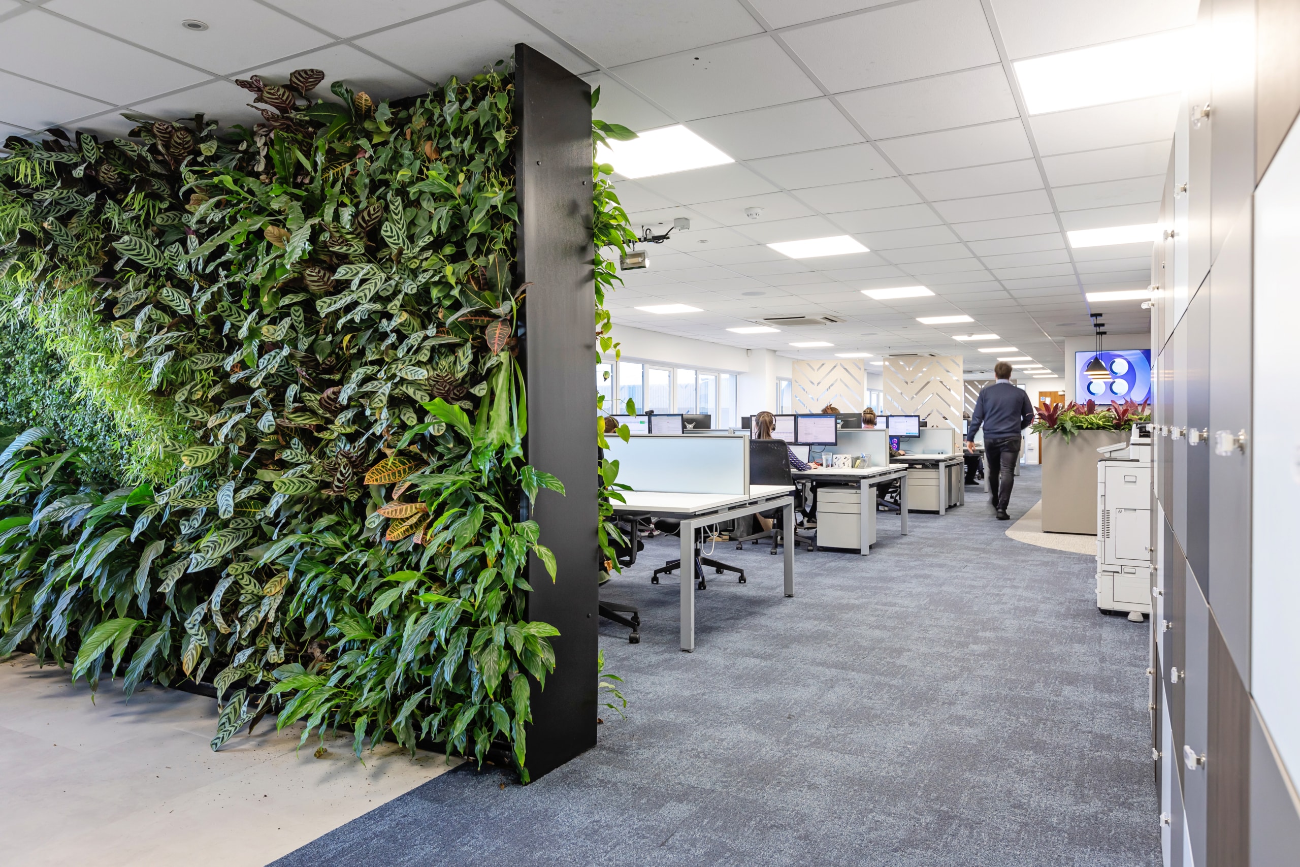 Acopia's workplace, designed by Spectrum