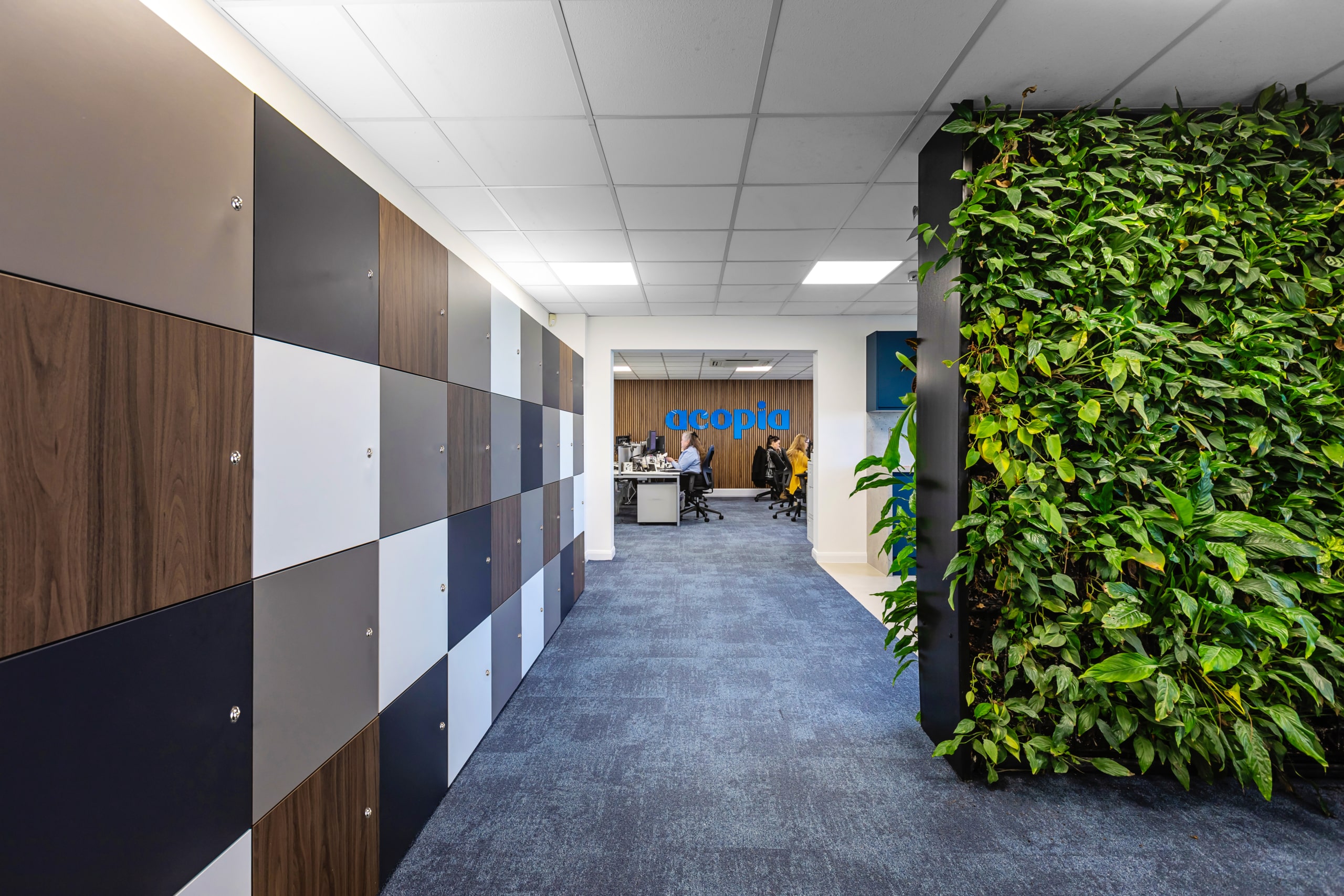 Acopia's workplace, designed by Spectrum