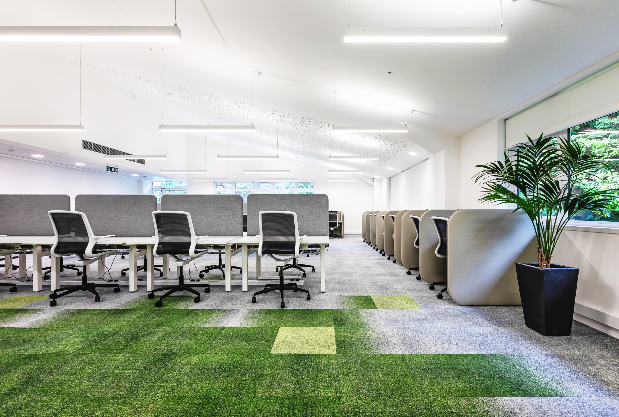 OSG Hindhead's workplace, designed by Spectrum