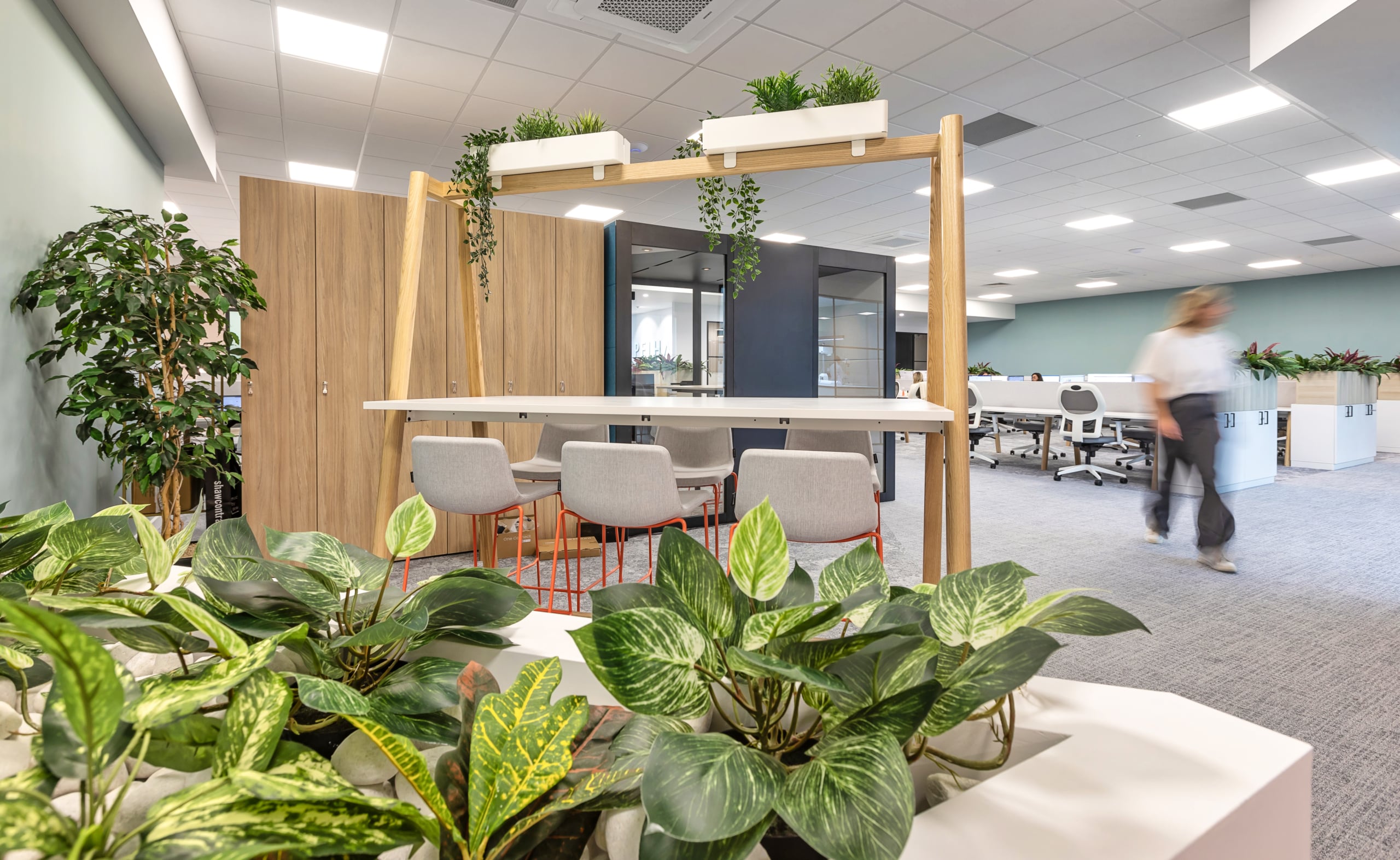 Pelham Laboratories' workplace, designed by Spectrum