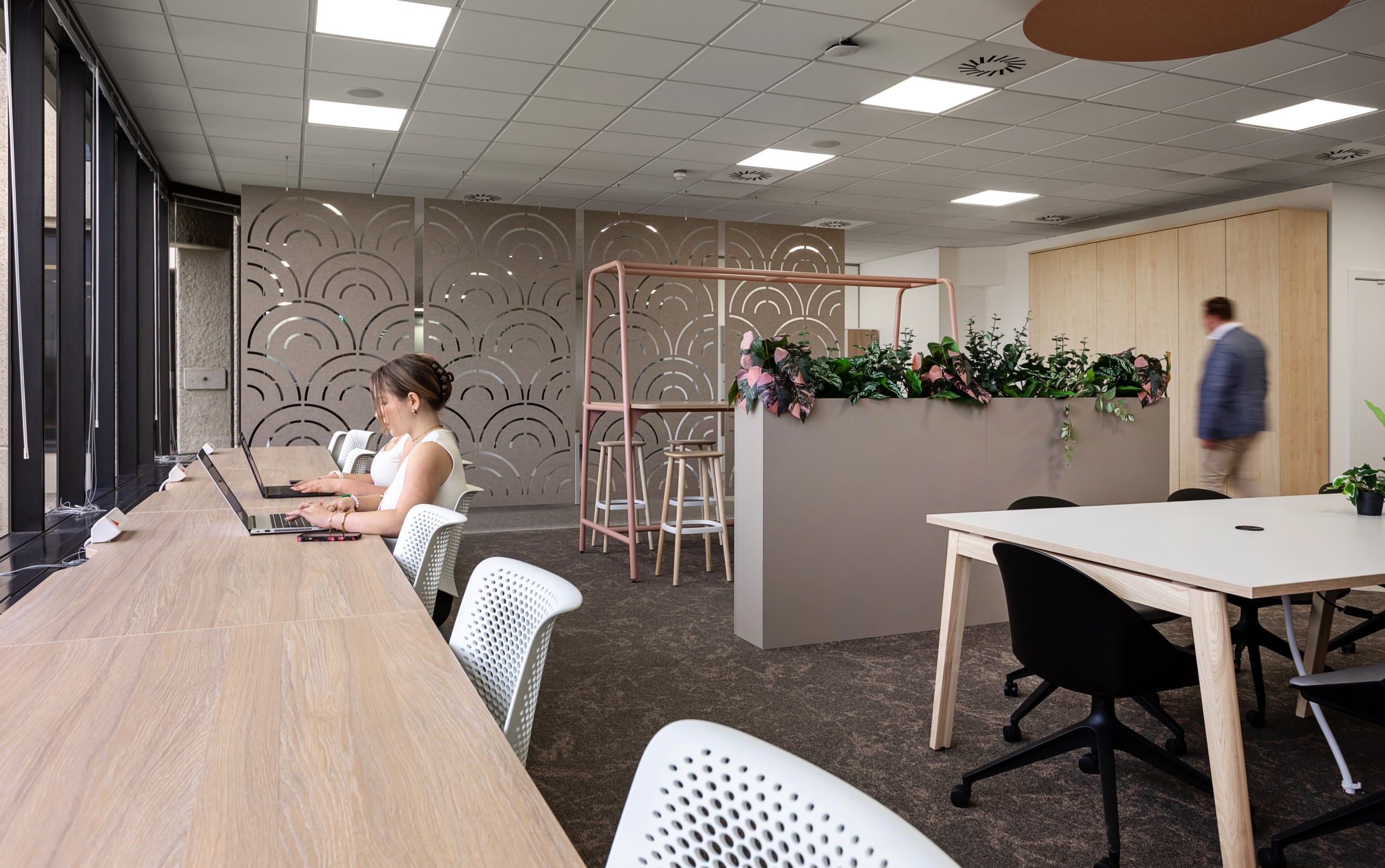 Southern Co-op's workplace, designed by Spectrum
